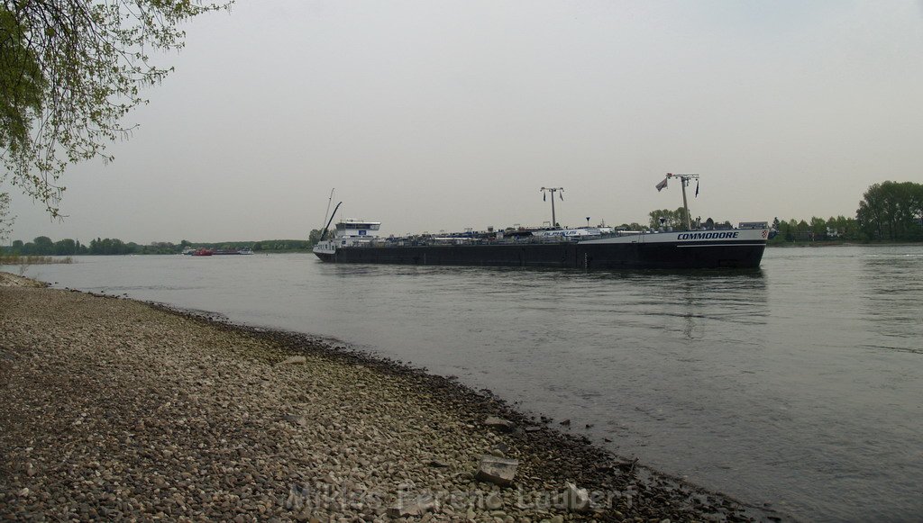 Schiffs Havarie bei Godorf  P116.JPG